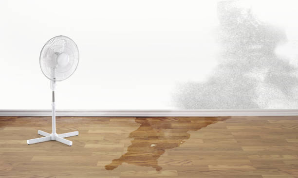 Best 24/7 water damage repair  in Redwater, TX