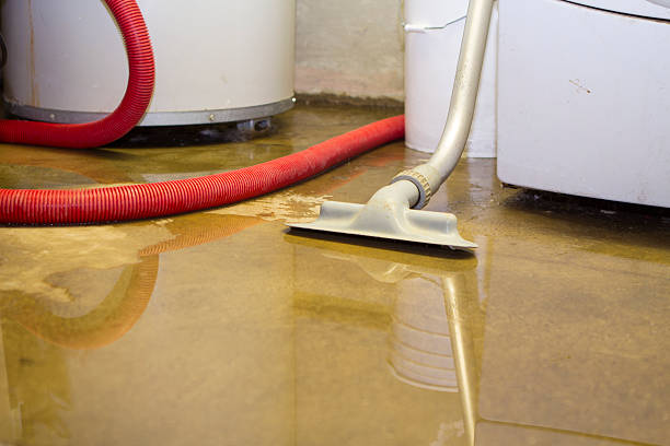 Best Carpet water damage restoration  in Redwater, TX