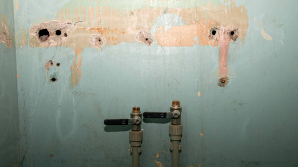 Best Flood damage cleanup  in Redwater, TX