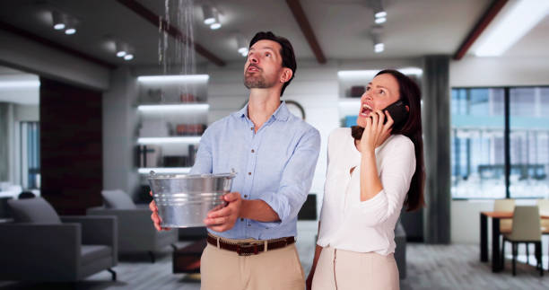 Best Fire Damage Restoration  in Redwater, TX